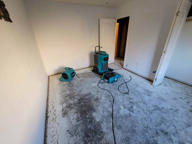 Water damage restoration experts in Bridgeport, NY