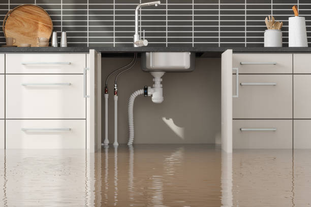 Best Water damage restoration experts  in Bridgeport, NY