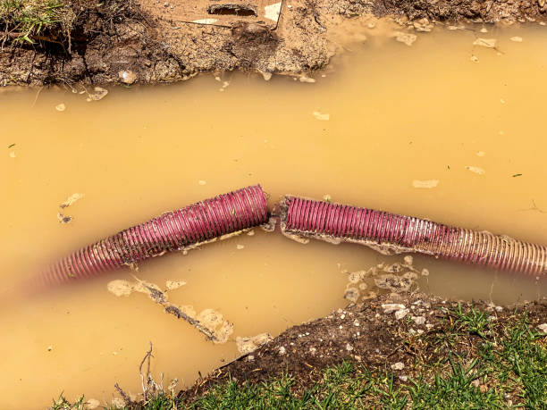 Best Mold removal after water damage  in Bridgeport, NY