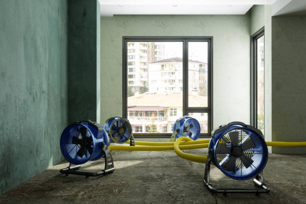 Best Flood restoration services  in Bridgeport, NY